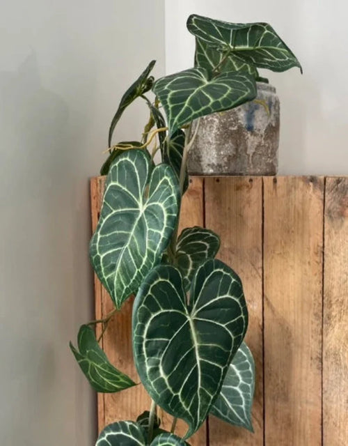 Artificial Trailing Athurium Silk Printed Vine